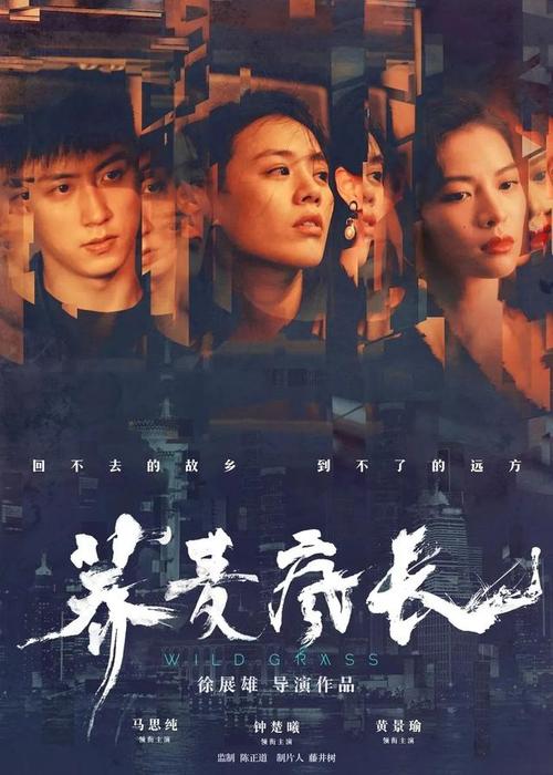高中毕业证找不到了怎么办大学的